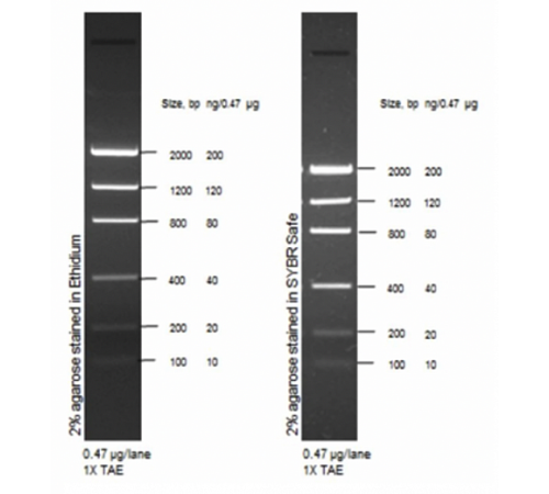 Маркер длин ДНК Low DNA Mass от 100 п.н. до 2000 п.н., 0,1175 мкг/мкл, Thermo FS