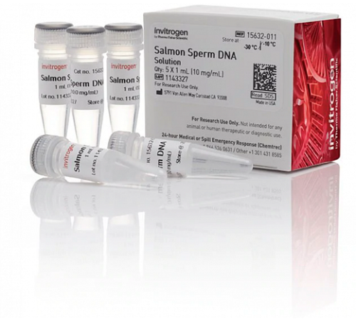 Раствор ДНК спермы лосося/Salmon Sperm DNA Solution, Thermo FS